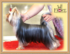 Микки